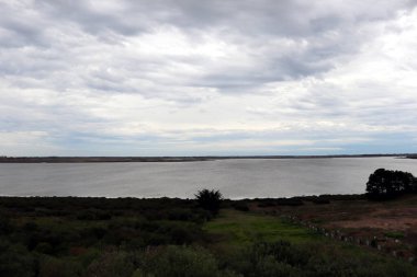 Arka planda Connewarre Gölü manzarası (Geelong, Avustralya).