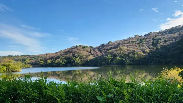 Altın sonbahar yaprakları, ağaçları kırmızı turuncu ve sarı renkli canlı renklerle kaplıyor. Kıtır hava ve yumuşak güneş ışığı mevsimlerin sıcaklığını ve rahat cazibesini vurgular..