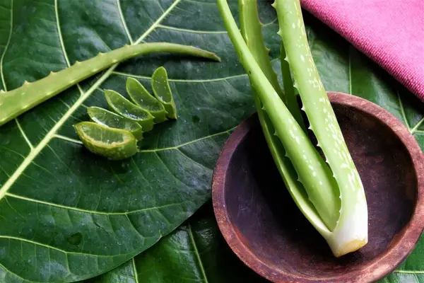 aloe vera yaprakları, ahşap kaseler, ve krem ya da losyon içeren beyaz kavanozlar, büyük yeşil bir yaprağa yerleştirilmiş.