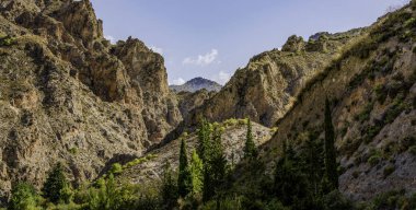 Rocky Peyzajı, Granada yakınlarındaki ağaçlarla Veroll ve Mountain Views sunar