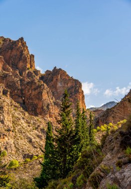 Ağaçların yakınındaki Rocky Manzarası Orman Ağaçları ve Dağ Manzaraları