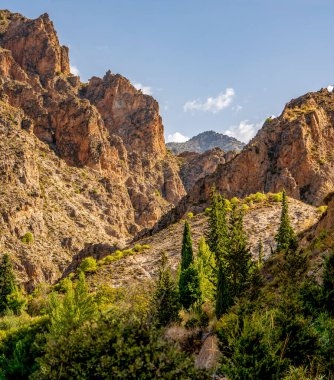 Rocky Peyzajı, Granada yakınlarındaki ağaçlarla Veroll ve Mountain Views sunar