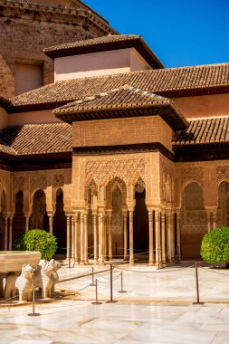 Bir Alhambra Aslanlar Alanı.