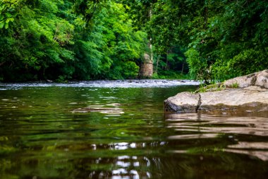 Tranquil British River with Verdant Forest Reflections and Stone Shoreline: A Serene Natural Escape