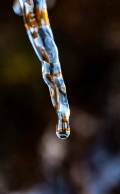 Close-Up of a Melting Icicle Capturing a Water Droplet Mid-Fall with a Blurred Natural Background in Stunning Macro Detail clipart