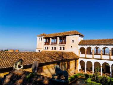 Karışık Arapça Kaligrafi ve Mağribi Mimarisinde Çiçek Motifleri