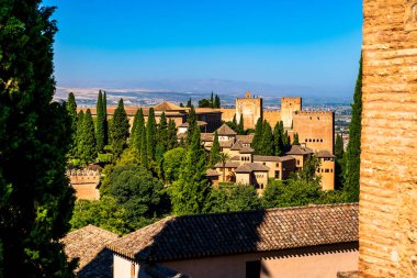 Karışık Arapça Kaligrafi ve Mağribi Mimarisinde Çiçek Motifleri