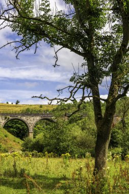 Framed View of Headstone Viaduct Through Verdant Trees in Monsal Dale, Peak Districts Iconic Architectural and Natural Harmony