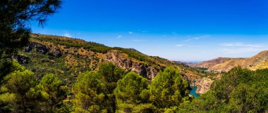 Endülüs tepelerinde, Genil Nehri yakınlarındaki yemyeşil Akdeniz bitkisi, Granada, İspanya