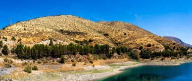 Golden Hills and Verdant Pines Beside the Tranquil Waters of Canales Reservoir in Granada, Spain clipart