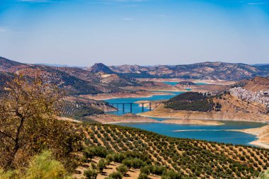 Agroman Bridge Connecting Iznjar and Surrounding Olive Groves Over Blue Reservoir Waters in Scenic Andalusian Landscape