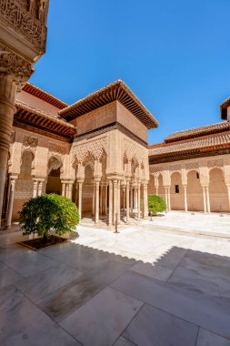 Aslanlar Sarayı 'nın Ebedi Güzelliği 