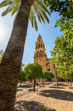 Cordoba 'nın Turuncu Avlusu' ndaki Palmiye Gölgeli Cami Katedrali. 10. yüzyıldan kalma bir Mağripli Minare. Dehşet Veren Endülüs 'te Çan Kulesi.