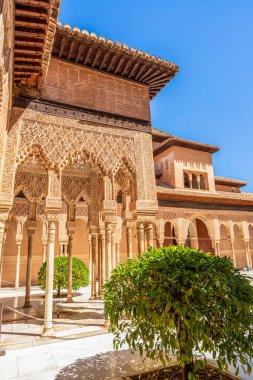 Aslanların Majestic Court of the Lions, Alhambra: Enfes Nasrid Sütunları, Entrika Stucco Arabesques ve Parlak Gökyüzü Altındaki Yeşil Endülüs Sarayı Bahçesi
