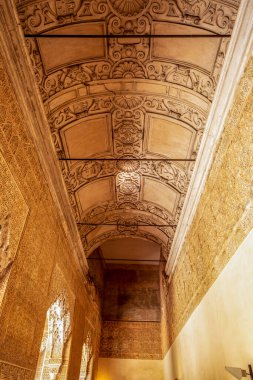 Lions Alhambra Sarayı 'nın yan odasında Nasrid Muqarnas' ı ve Endülüs İkonik Sarayı 'ndaki Rönesans Sonrası Tavanı sergileniyor.