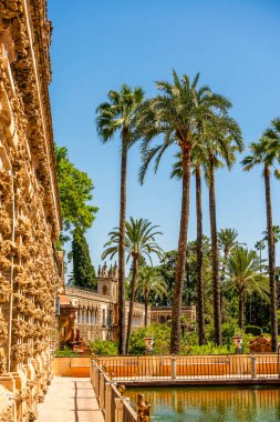 Royal Alcazar 'daki Galera de los Grutescos' a uzanan avuç içi çizgili yol