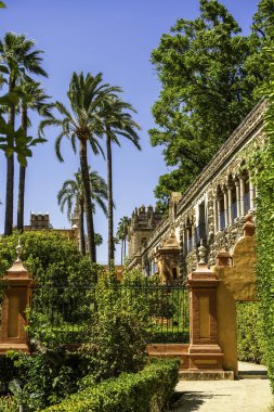Sevilles Royal Alcazar 'daki Palm-Lined Galera de los Grutescos: Endülüs Mirası ve Regal Splendor' un 16. yüzyıl Fas sonrası Rönesans Mücevheri