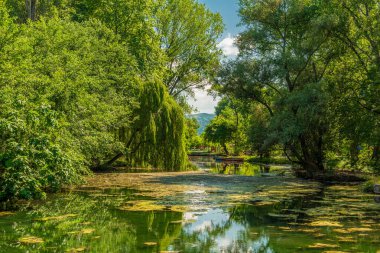 Arnavutluk 'un Drilon Ulusal Parkı' nda, bereketli söğütler ve parlak bir yaz gökyüzünün altındaki yuvarlanan tepeler tarafından çerçevelenmiş sakin bir göl.
