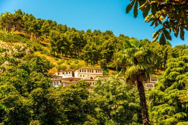 Berats historic Ottoman architecture nestled within the trees cascades down sun-drenched slopes, showcasing Albania's cultural heritage