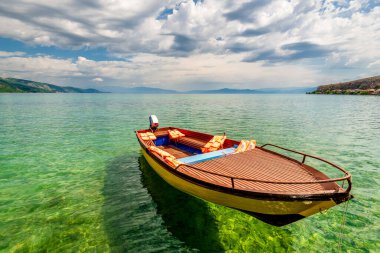 Tomurcuklanan dallardan bir ev serçesi arıyor. Baharın erken saatlerinde kendine özgü günlük şarkısıyla parlıyor.