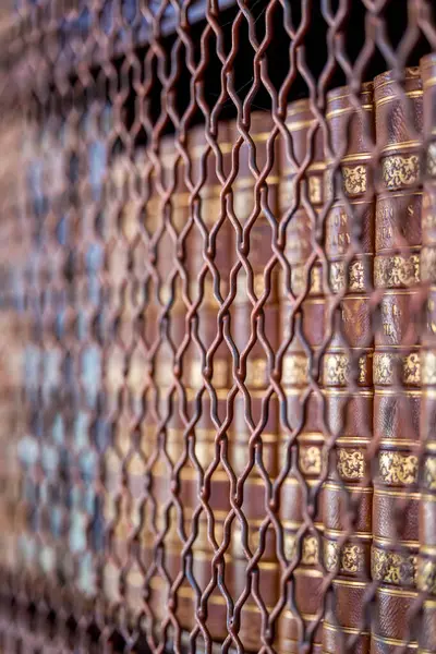 Tomurcuklanan dallardan bir ev serçesi arıyor. Baharın erken saatlerinde kendine özgü günlük şarkısıyla parlıyor.