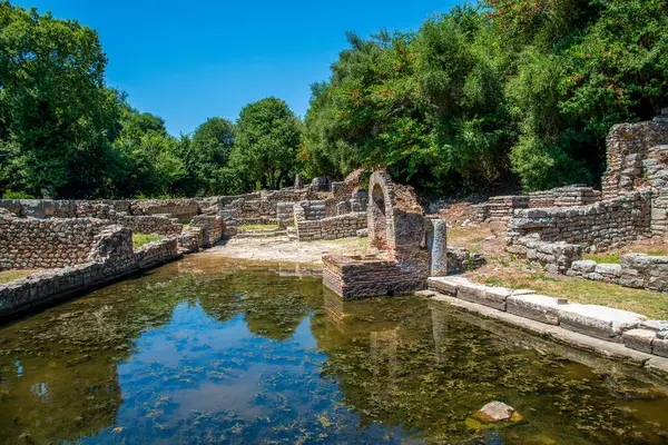 Arnavutluk 'un Butrint kentindeki antik kalıntılar, bereketli yaprakların ortasındaki sığ bir havuza yansıyarak açık bir yaz gökyüzünün altındaki katmanlı tarihi gözler önüne seriyor