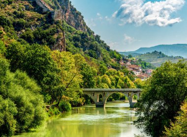 Arnavutluk 'un Berat kentindeki Osum Nehri' nin altındaki taştan kemerli köprü, Osmanlı döneminden kalma beyazlatılmış evlerle benekli.