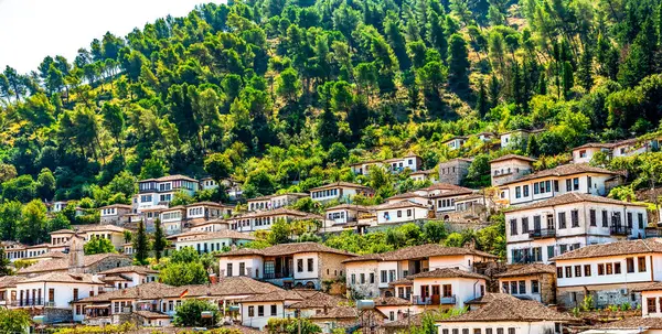 Berat 'ın katları Osum Vadisi' ndeki çam ağacından yapılma bir yamaçta beyazlatılmış evler.
