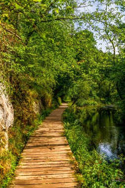 Dovedale, Peak District Ulusal Parkı 'ndaki Nehir Boyunca Tahta Patika