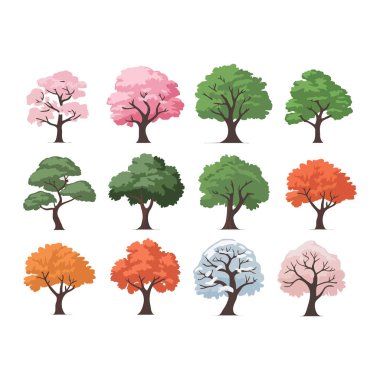 Mevsimsel Uyum Çeşitli Ağaçlar Resimleri Farklı mevsimlerde Çiçek açıyor