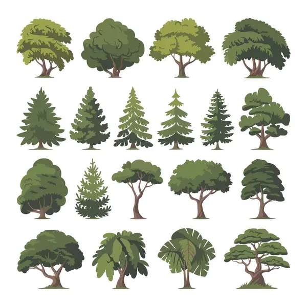 İzole edilmiş yeşil ağaçlar ve yeşillik çizimleri, izole edilmiş yeşil ağaçlar ve yeşillik çizimleri.