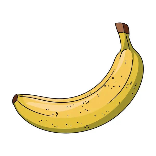 Beyaz arka planda izole edilmiş olgun sarı meyveli muz vektör çizimi