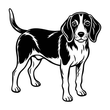 Siyah ve Beyaz Beagle Köpek Resimleri Ayakta Profil, Köpek vektörü, Köpek silueti. 