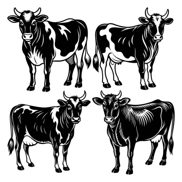 Şirin siyah beyaz inek çizimi, bir mandıra hayvanı, şirin siyah beyaz inek vektör çizimi, bir mandıra hayvanı..