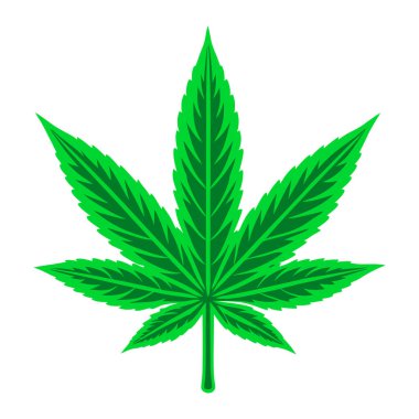 Beyaz arkaplanda kenevir yaprağı çizimi, marihuana yaprağı.