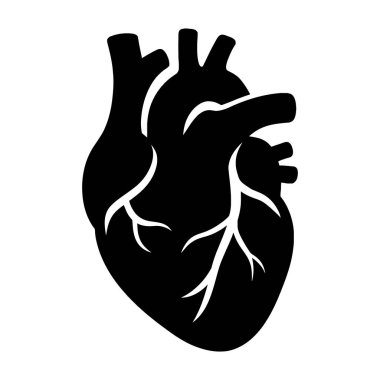 Bir Siluet Anatomik İnsan Kalbi vektör çizimi