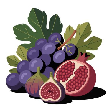 Taze üzüm, incir ve nar renkli vektör