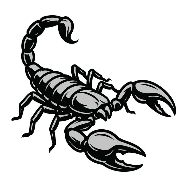 Kocaman pençeli bir Akrep Böceğinin Çizimi