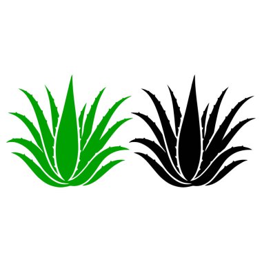 Aloe Vera Vektör Sanat Yeşil & Siyah Siluet Bitki İllüstrasyonu