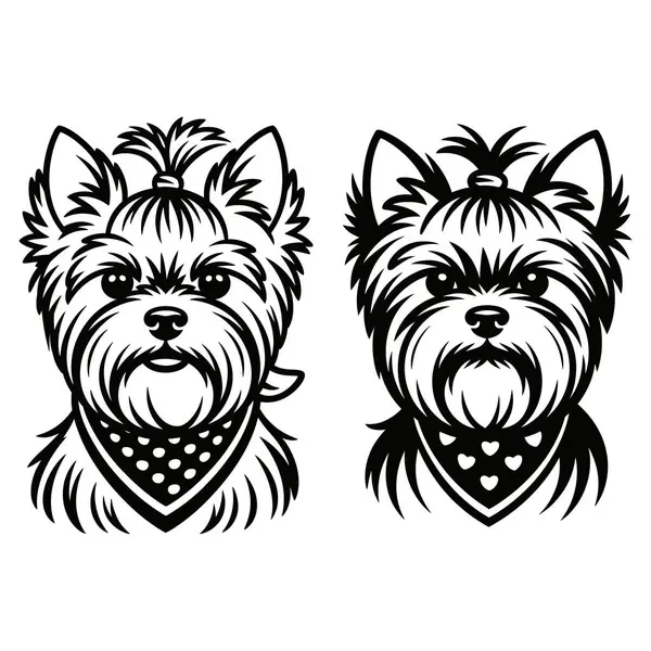 Yorkshire Teriyer köpeği siyah siluet çizgisi resim çizimi