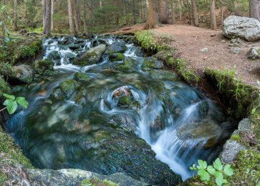 Yosunlu kayaların üzerinden akan akarsu, İtalya 'yı bionaz' a çevirdi.