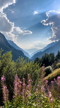 Dağ katman manzarası fotokopi alanı çalılık güneş ışınları ve bulut