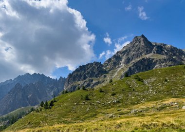 Mont de Crete Seche adında bir dağ zirvesi. Koyu kaya parlak bitki örtüsü