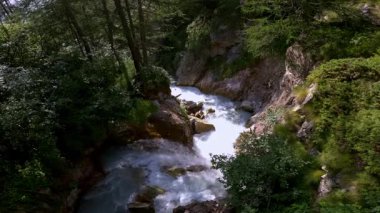 hızlı akan akarsu taşlı kanyon yoğun yeşil yapraklar ile çerçevelenmiş