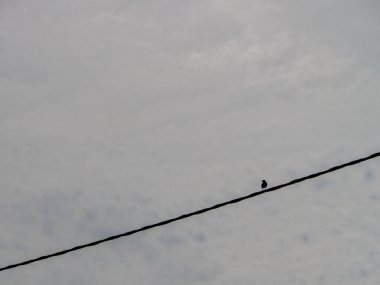 Yalnız kuş köşegen güç hattına tüneyerek yalnızlığı çağrıştırıyor. Sakin bulutlu gökyüzü