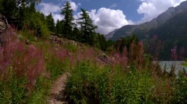 İtalya 'nın Moulin Gölü yakınlarındaki Aosta Vadisi' ndeki sakin yaz yürüyüşünün yavaş çekim görüntüleri