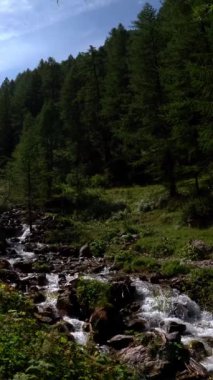Sakin dağ şelalesi el değmemiş Montagnayes 'in içinde ağır çekimde bölgesel rezerv içinde nihai rahatlama deneyimi sunuyor.
