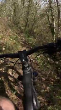 Fransa, Lot 'taki tekil orman raylarında birinci şahıs dağ bisikleti. Nisan ayında yoğun yaprak döken ormanlarda gezinme yolunu daralt.