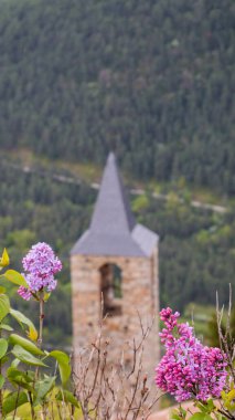İlkbaharda açan şırıngalar Aziz Andreu d 'Aristot kilisesinin tarihi çan kulesine doğal bir ön plan oluşturur.