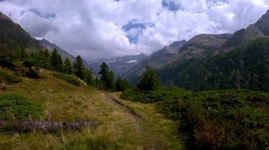 Huzurlu bir dağ yürüyüşü yolunun sakin ve yavaş çekim görüntüleri, refah içeriği, farkındalık videoları veya açık hava vites reklamları için ideal.